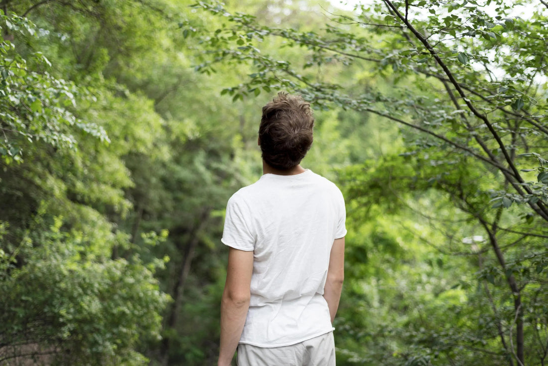 Mann steht im Wald und blickt ins Grüne – ein ruhiger Moment, der die entspannende Wirkung der Natur zeigt.